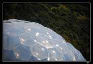 The Eden Project