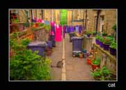Hebden Bridge